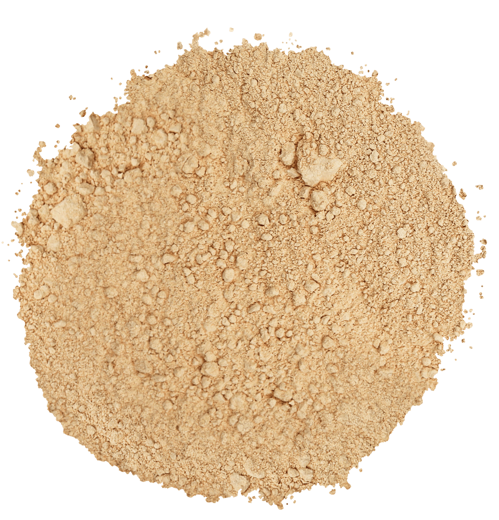 ginger-powder (1)